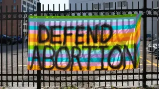 Judge rejects a challenge to Michigan's decades-long ban on publicly funded abortions