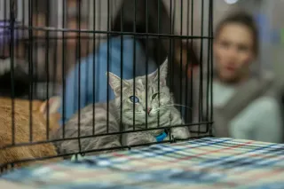 As the Shutdown Drags On, These People Will Lose If Health Care Subsidies Expire